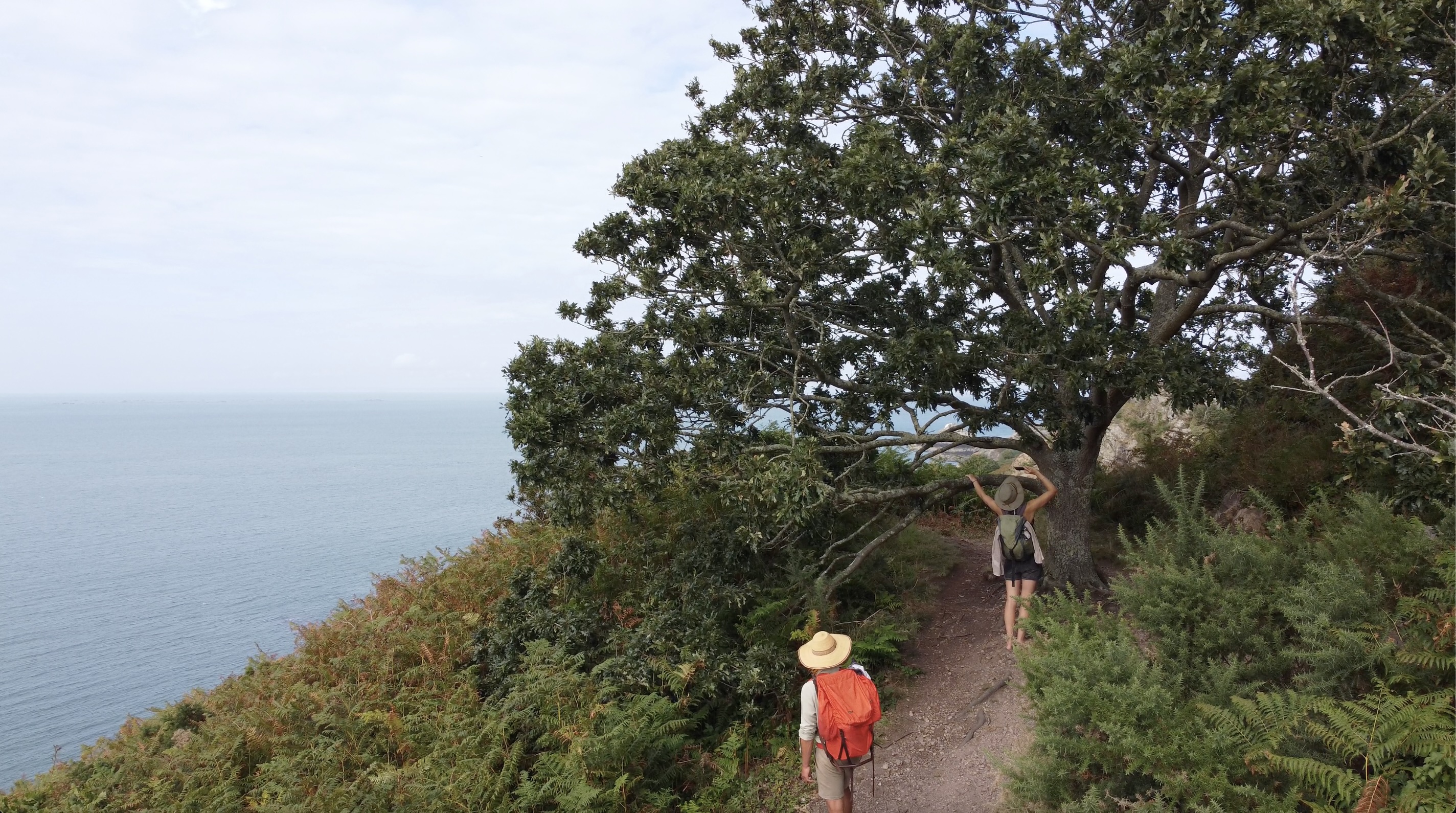 Biodiversity monitoring